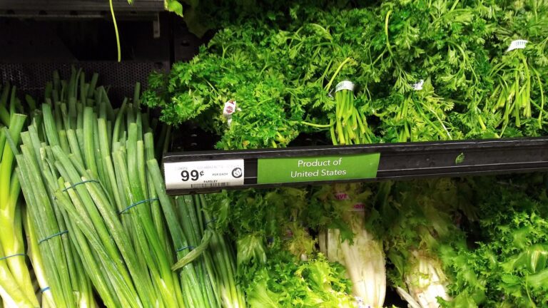 Shoppers Grow Wary as Retailers Turn to AI Pricing Tools